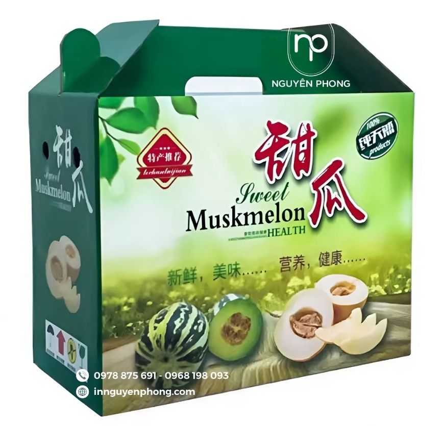 mau-hop-giay-dung-dua-luoi-co-quai-xach